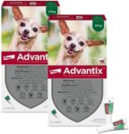 Top 10 Der Besten Floh- und Zeckenbehandlungen für Haustiere 2026