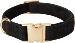 Top 10 Der Besten Hundehalsbänder 2026