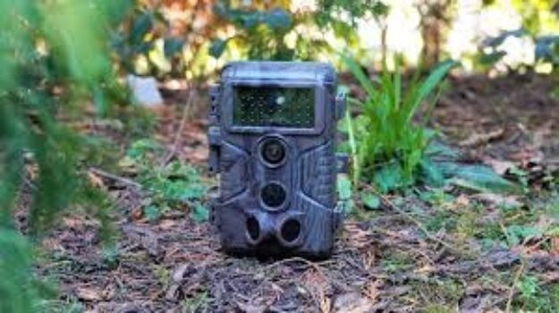10 Der Besten Wildkameras 2025