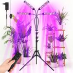 Top 10 Der Besten Wachstumslichter 2026