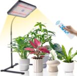 Top 10 Der Besten Wachstumslichter 2026